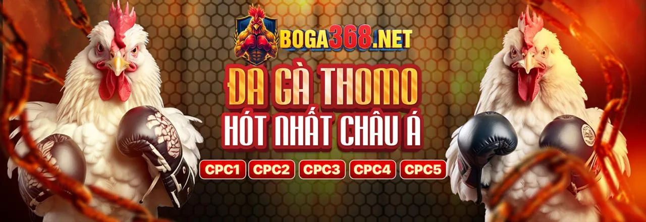 Đá Gà Trực Tuyến W388 Link Mới